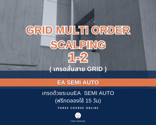 Grid Scalping 1+2