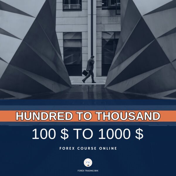 คอร์สปั้นพอร์ต 100$-1000$