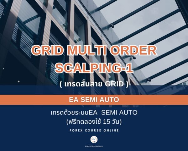 Grid Scalping1